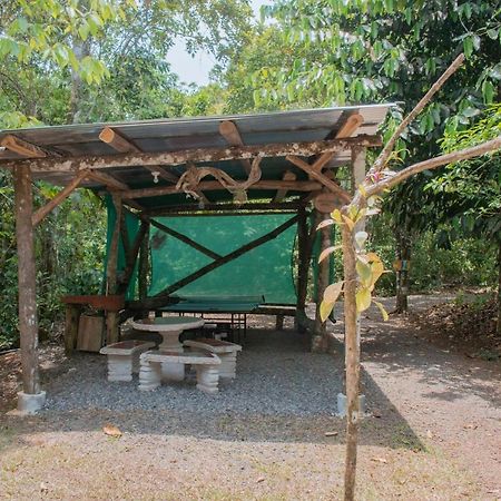Tree Houses Hotel Costa Rica Florencia Exterior photo