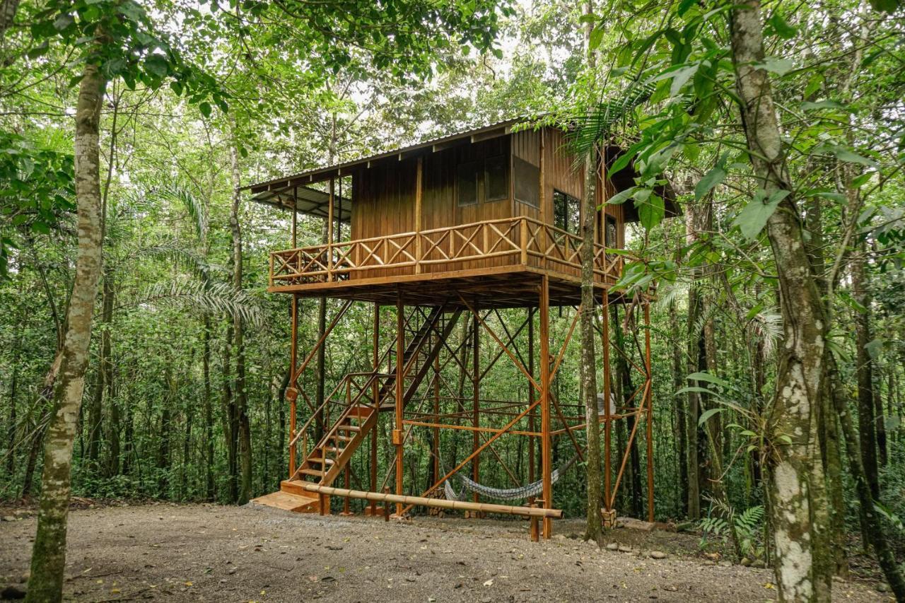 Tree Houses Hotel Costa Rica Florencia Exterior photo