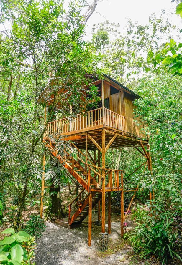 Tree Houses Hotel Costa Rica Florencia Exterior photo