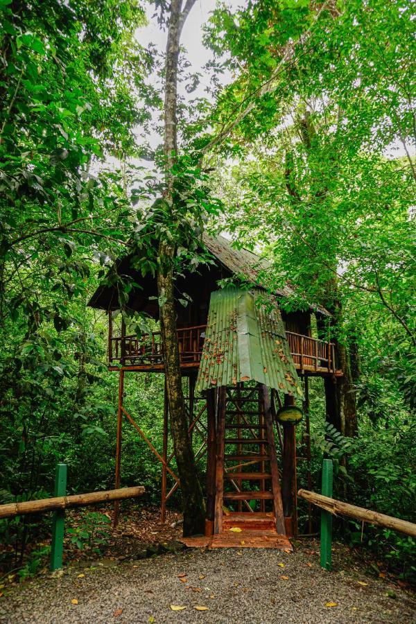 Tree Houses Hotel Costa Rica Florencia Exterior photo