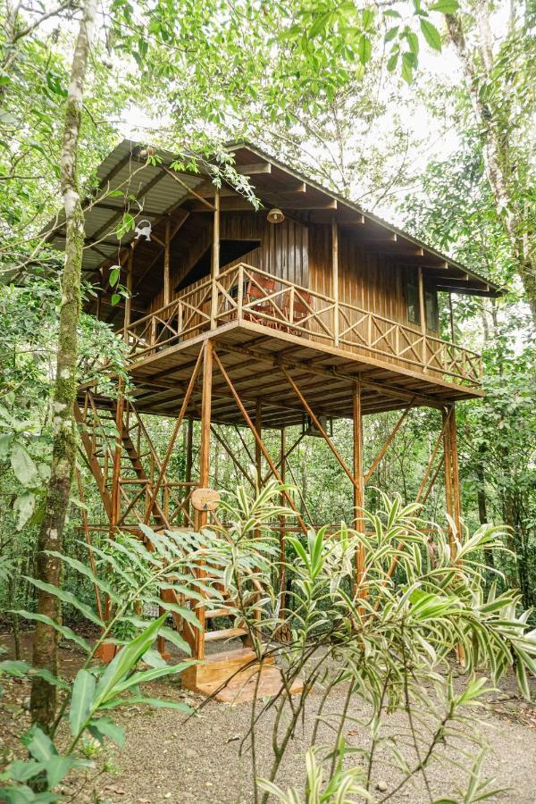 Tree Houses Hotel Costa Rica Florencia Exterior photo