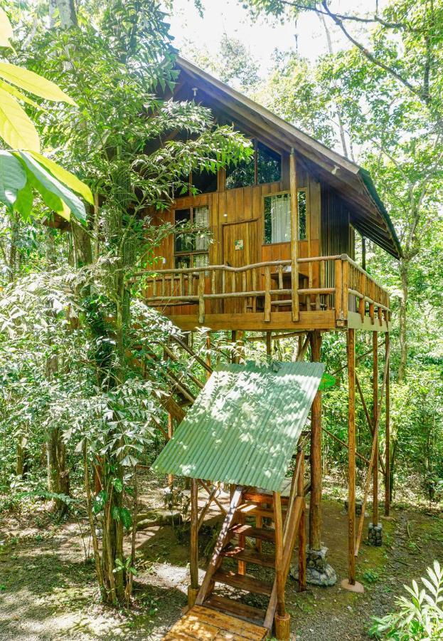 Tree Houses Hotel Costa Rica Florencia Exterior photo