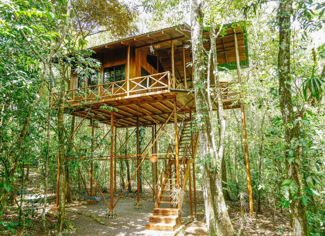 Tree Houses Hotel Costa Rica Florencia Exterior photo