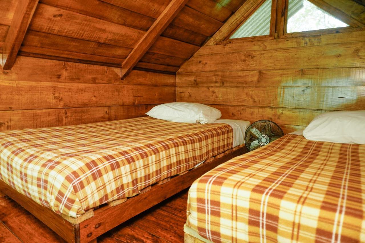 Tree Houses Hotel Costa Rica Florencia Exterior photo