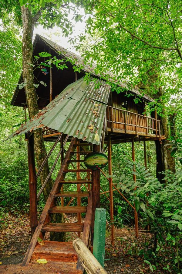 Tree Houses Hotel Costa Rica Florencia Exterior photo