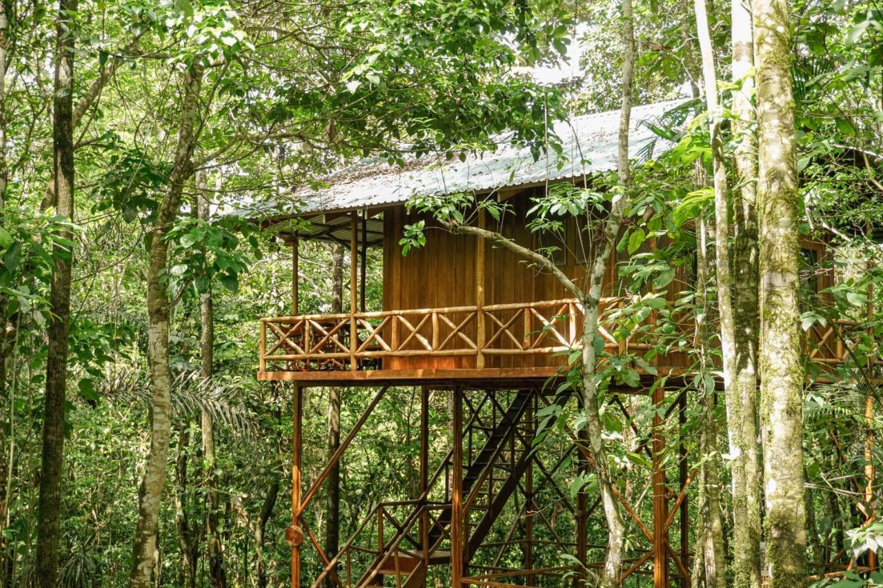Tree Houses Hotel Costa Rica Florencia Exterior photo