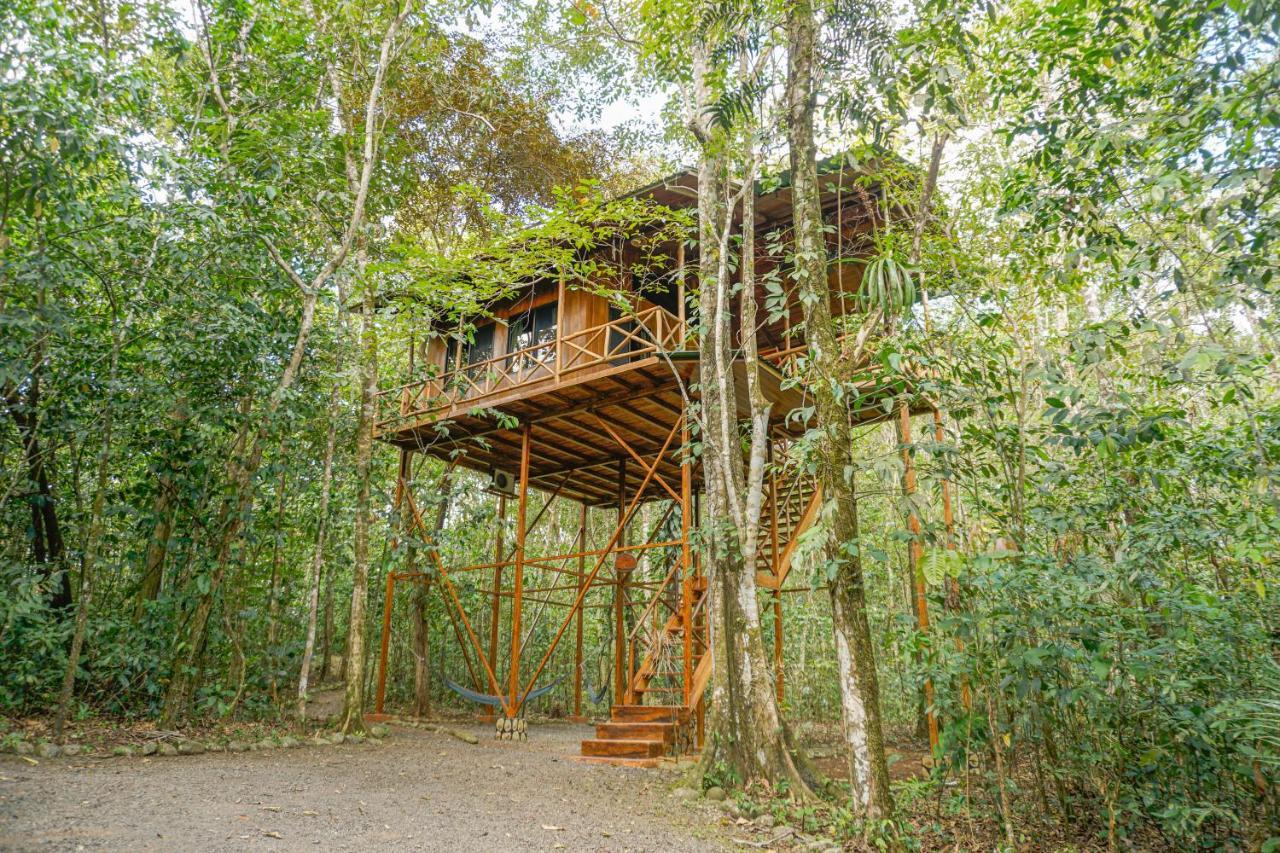 Tree Houses Hotel Costa Rica Florencia Exterior photo