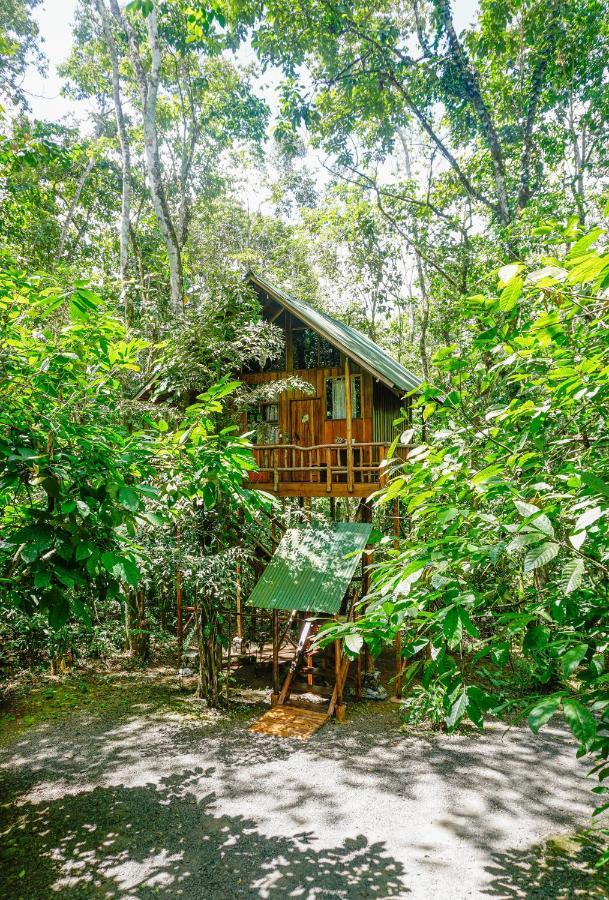 Tree Houses Hotel Costa Rica Florencia Exterior photo