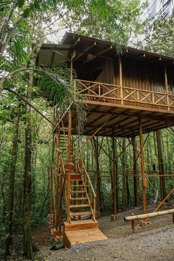 Tree Houses Hotel Costa Rica Florencia Exterior photo