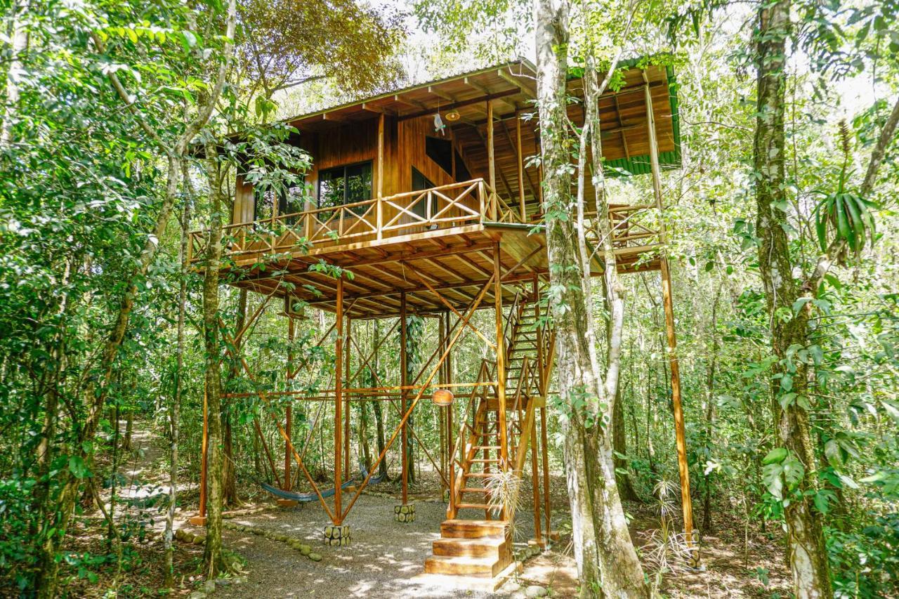 Tree Houses Hotel Costa Rica Florencia Exterior photo
