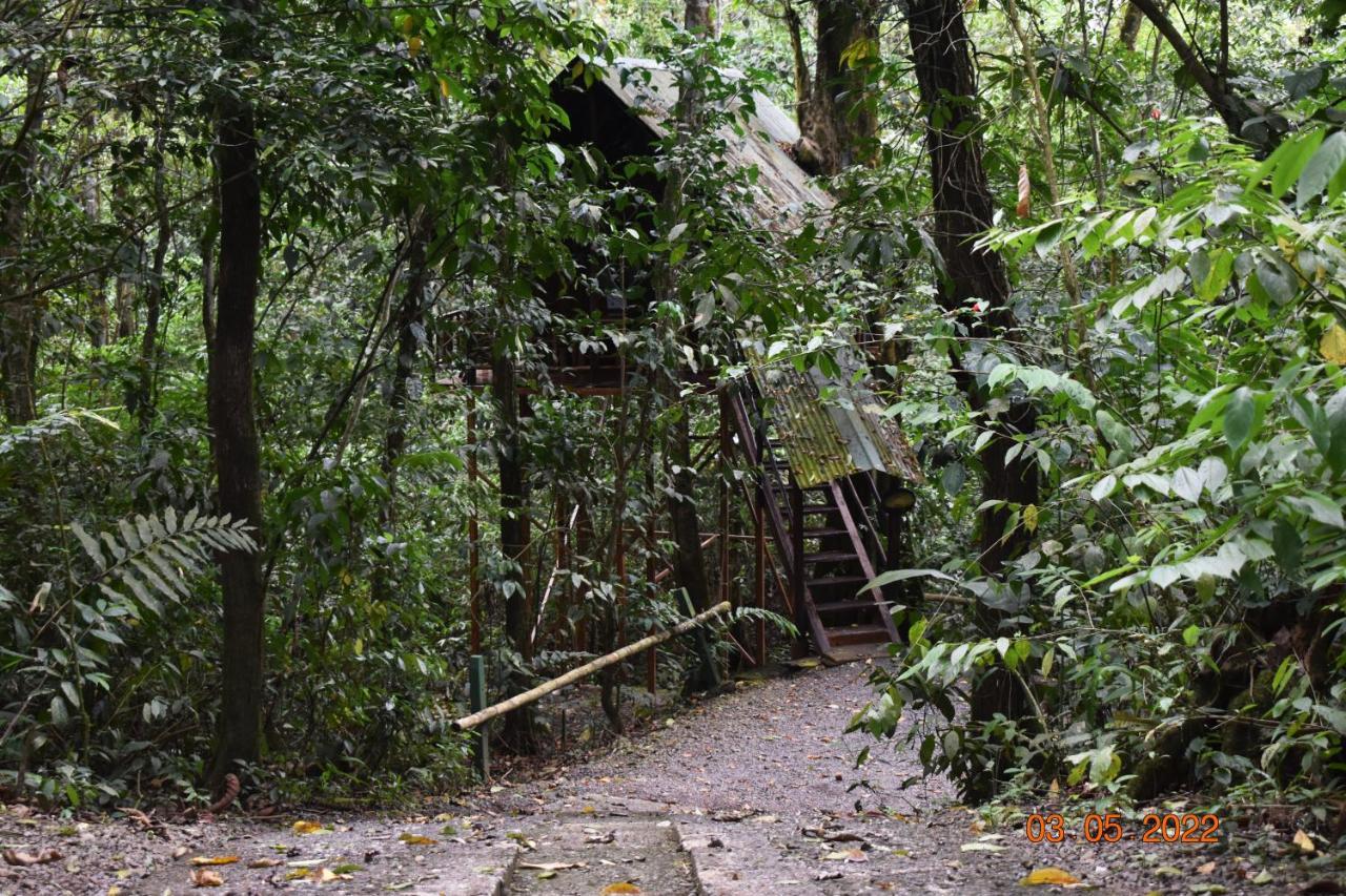 Tree Houses Hotel Costa Rica Florencia Exterior photo