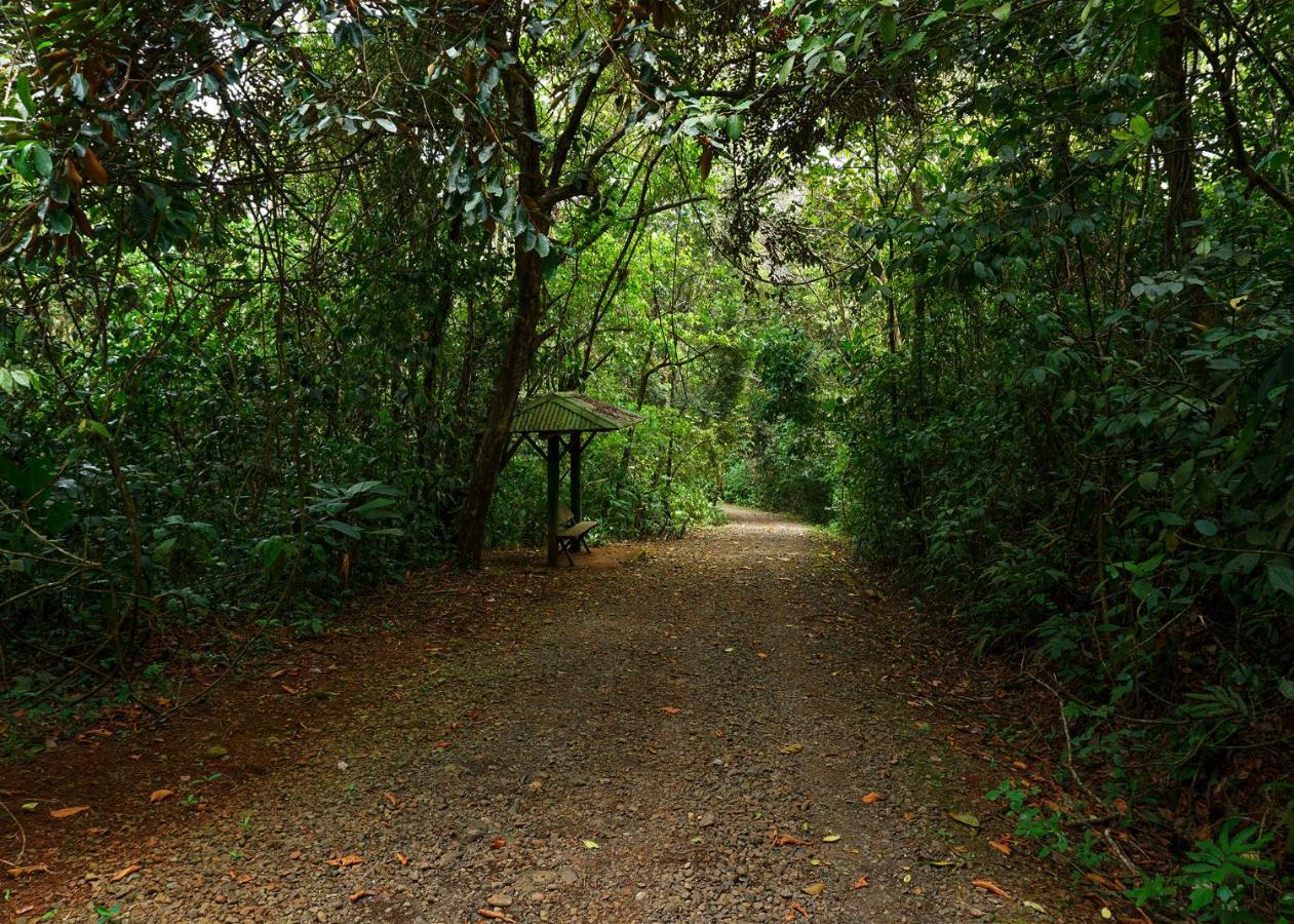 Tree Houses Hotel Costa Rica Florencia Exterior photo