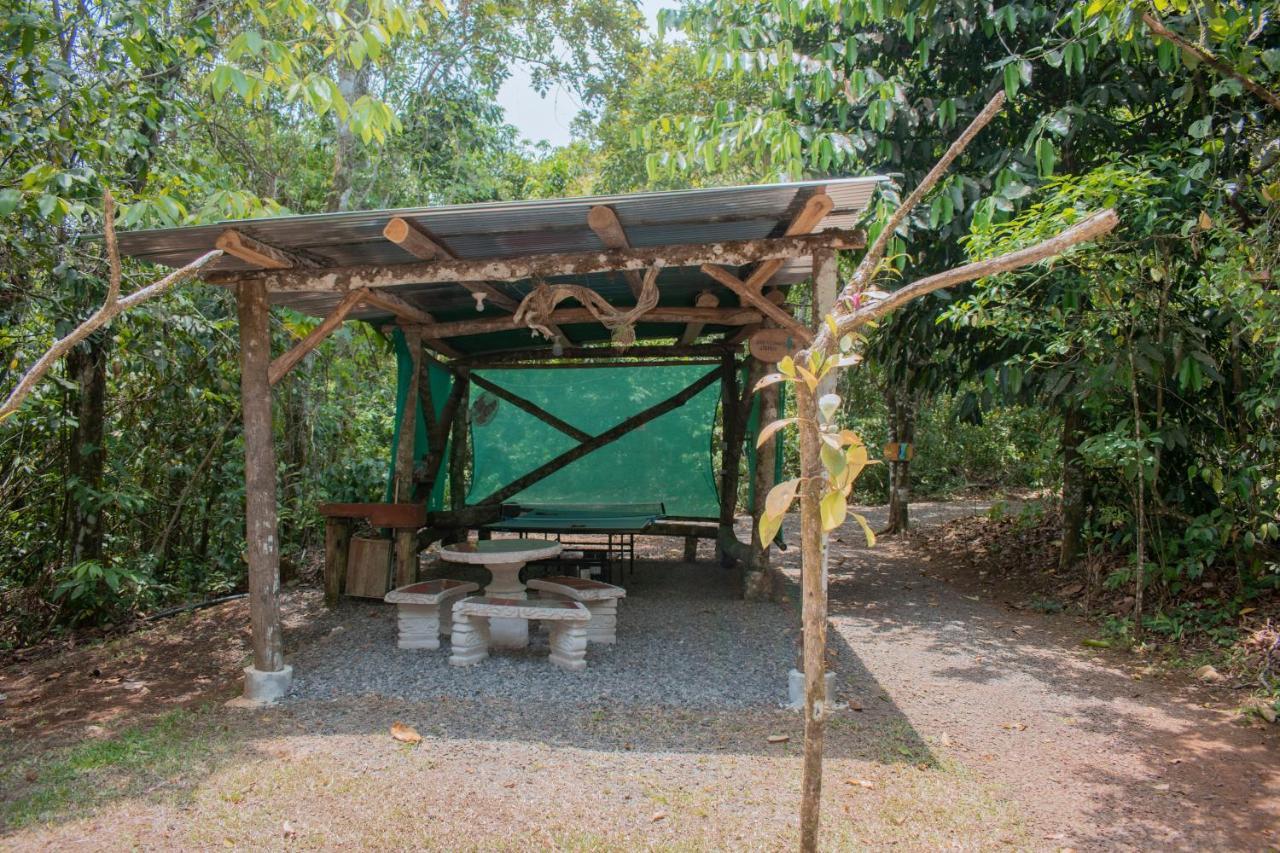 Tree Houses Hotel Costa Rica Florencia Exterior photo